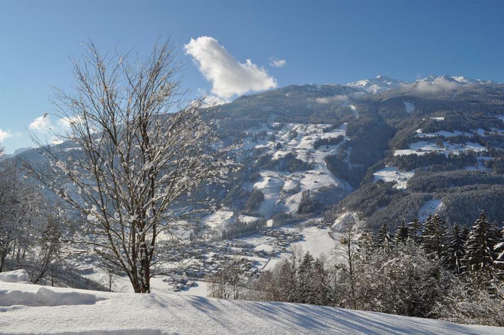 Апартаменты Schweinberger Sixtus Aschau Im Zillertal Экстерьер фото