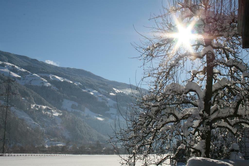 Апартаменты Schweinberger Sixtus Aschau Im Zillertal Экстерьер фото