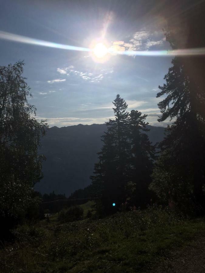 Апартаменты Schweinberger Sixtus Aschau Im Zillertal Экстерьер фото