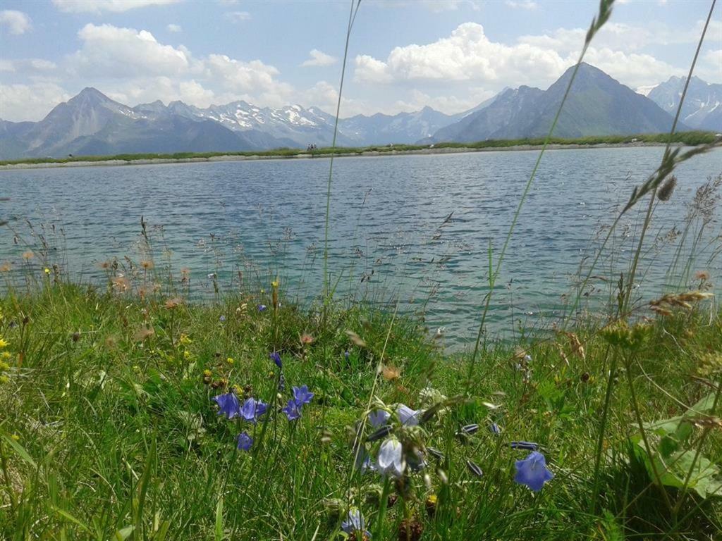 Апартаменты Schweinberger Sixtus Aschau Im Zillertal Экстерьер фото